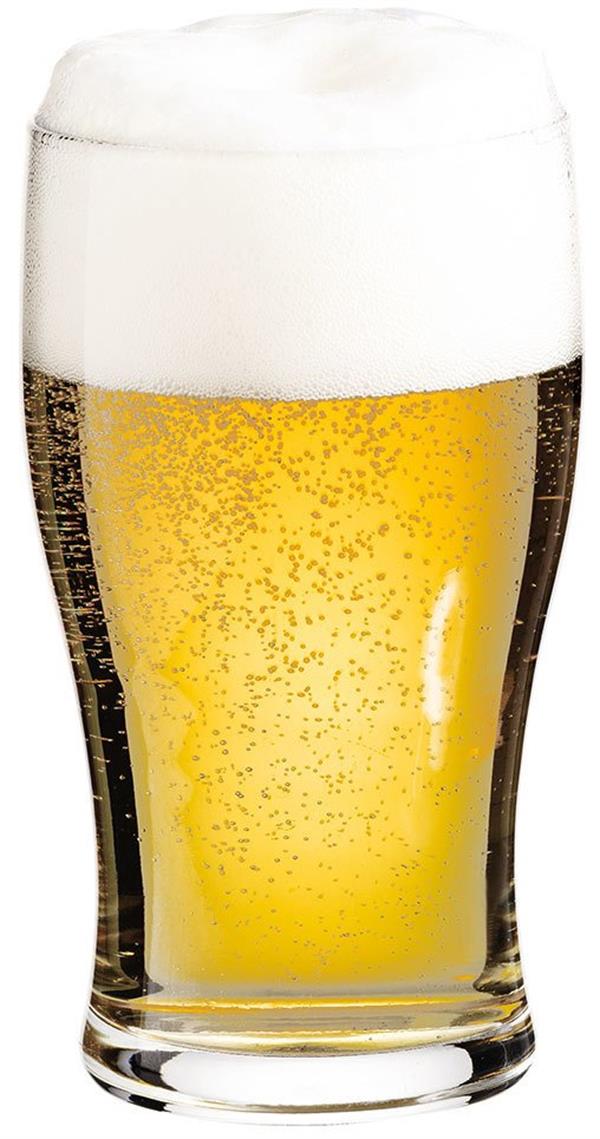 42737 Tulipe Bira Bardağı