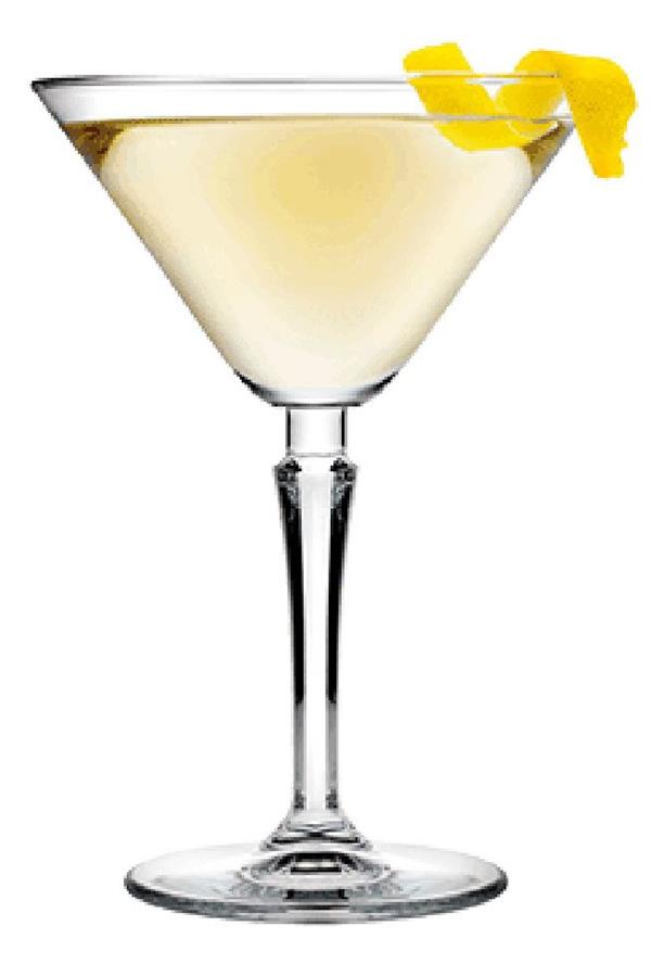 440263 Hudson Martini Bardağı